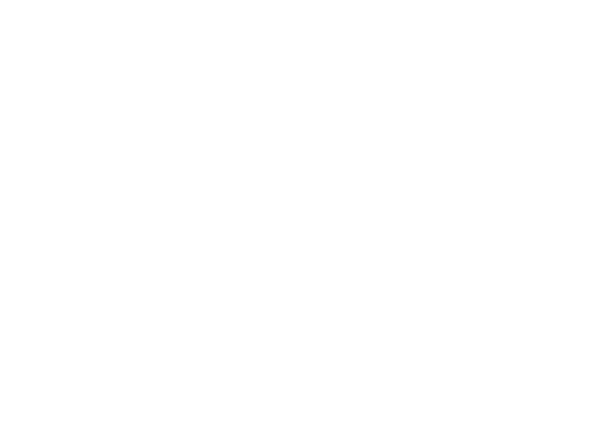 FICVIÑA@3x