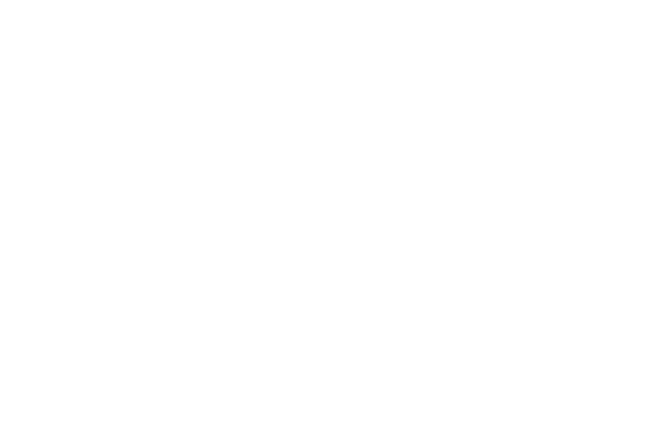 SANFIC @3x