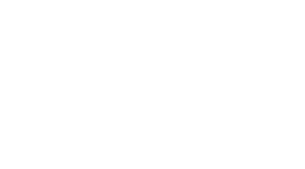 millenium film festival@3x